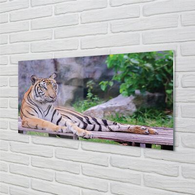 Tulup Acrylglas 140x70 Wandkunst Tiger in einem Zoo