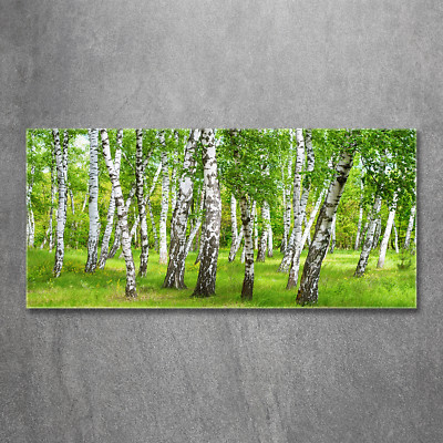 Glas-Bild Wandbilder Druck auf Glas 120x60 Deko Landschaften Birkenwald