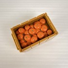 Foto 2 di 6