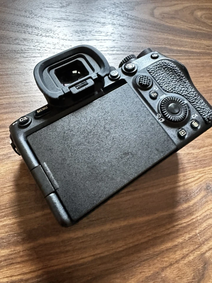 Sony Alpha 7S III, foto 4 di 5