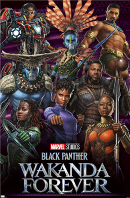 BLACK PANTHER: WAKANDA FOREVER - GROUP POSTER - 22x34 - 22753