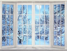 Winter Snow Window Photography Backdrops Christmas Background Forest Studio Prop