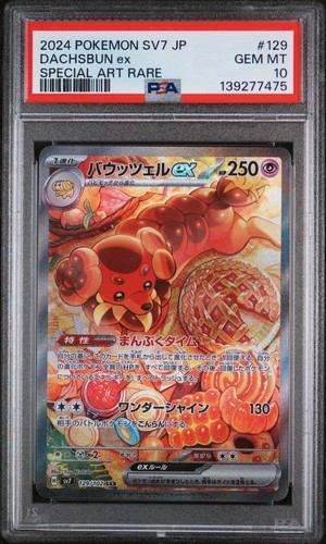 Dachsbun ex Special Art Rare PSA 10- Pokemon Stellar Miracle