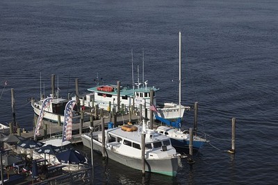 Photo:Sandy Hook New Jersey Schupp's Landing Boats Dock Bay 2017