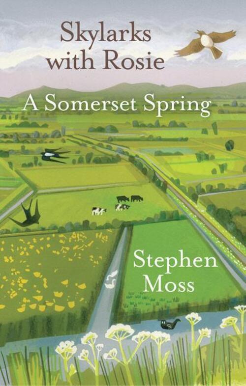 Thumbnail - Skylarks With Rosie | A Somerset Spring | Stephen Moss | Englisch |