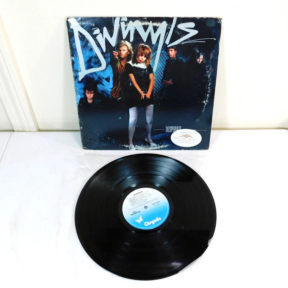 レア⭐︎Divinyls Live DVD 1993年収録　ディヴァインルズ レア⭐︎Divinyls Live DVD 1993年収録 ディヴァインルズ C993