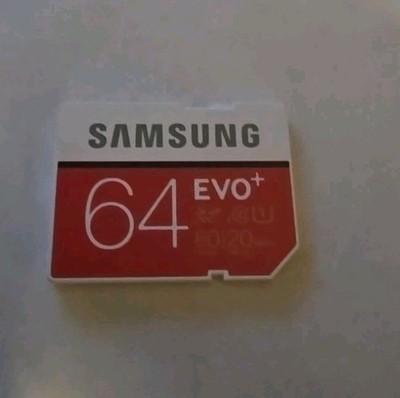  Samsung 64GB EVO+ UHS-I SDXC U1 Memory Card MB-SC64D/AM
