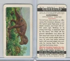 FC34-6 Brook Bond, Dinosaurs, 1963, #14 Antrodemus