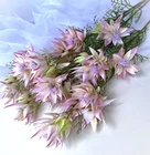 Australian Native Flowers Blushing Bride Flower Stem Pink Cream Faux Silk Stems