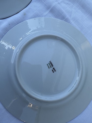 Set of 6 Laure Japy Limoges Jardin Bleu France plates 3 x 11.75” 3 x 8.75” - Picture 4 of 15