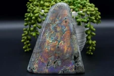 Labradorite Free-Form - Purple/Pink Flash 5.5"x4.5"