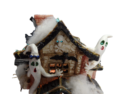 Fiber Optic Ghost Halloween Haunted House Decoration - PA74817 - PREOWN/TESTED - Picture 9 of 19