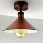 Bild 37 von 63