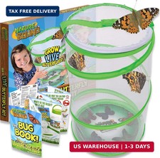 Nature Bound Butterfly Growing Kit - Live Caterpillar to Butterfly Project for K