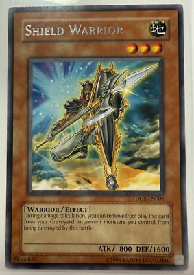 Yu-Gi-Oh! SHIELD WARRIOR - TDGS-EN005 - RARE  LP