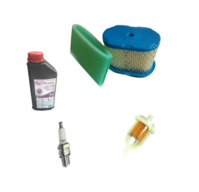 SERVICE KIT für Wolf Scooter SV4 mit Briggs Stratton Intek Pro 65  122602 122607