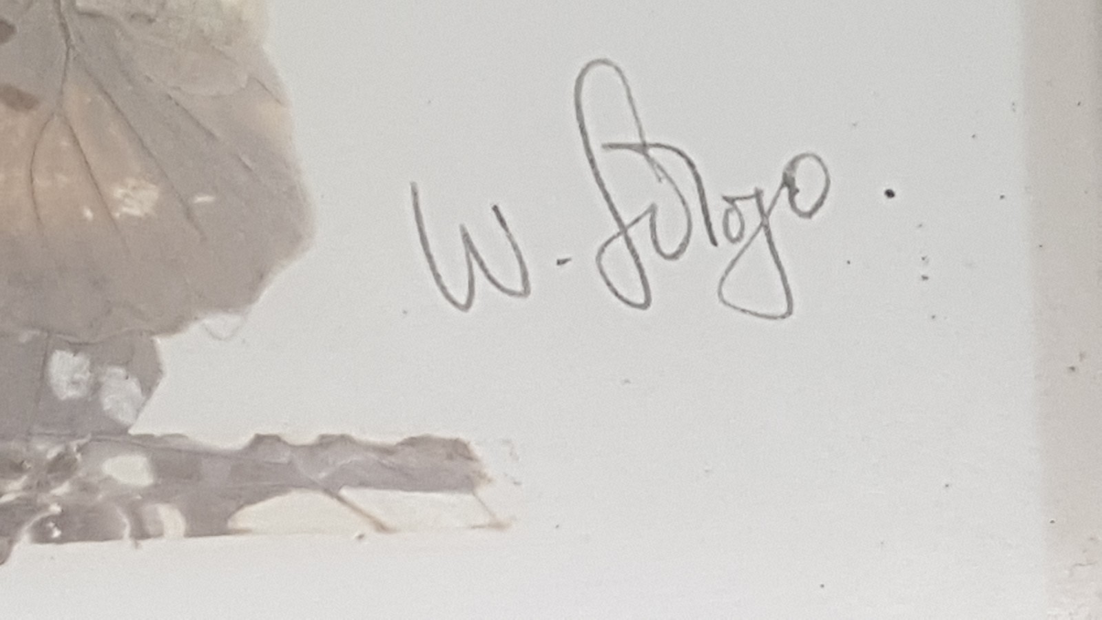 Picture 3 of 12