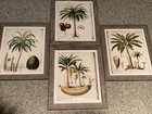 Tropical Palm Tree & Fruit Picture Frame