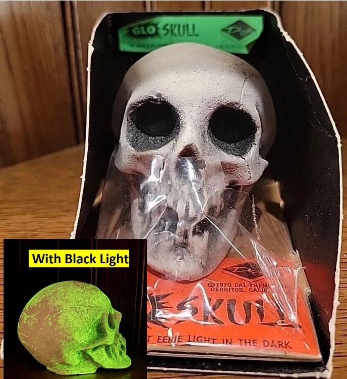 Skull- 5 Awesome Things on eBay this week