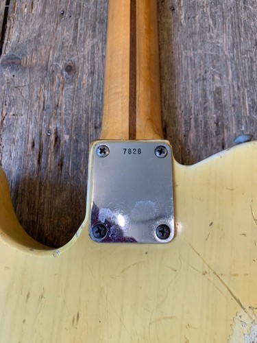 1955 Fender Blonde Esquire White Guard & hard shell case - Picture 7 of 16