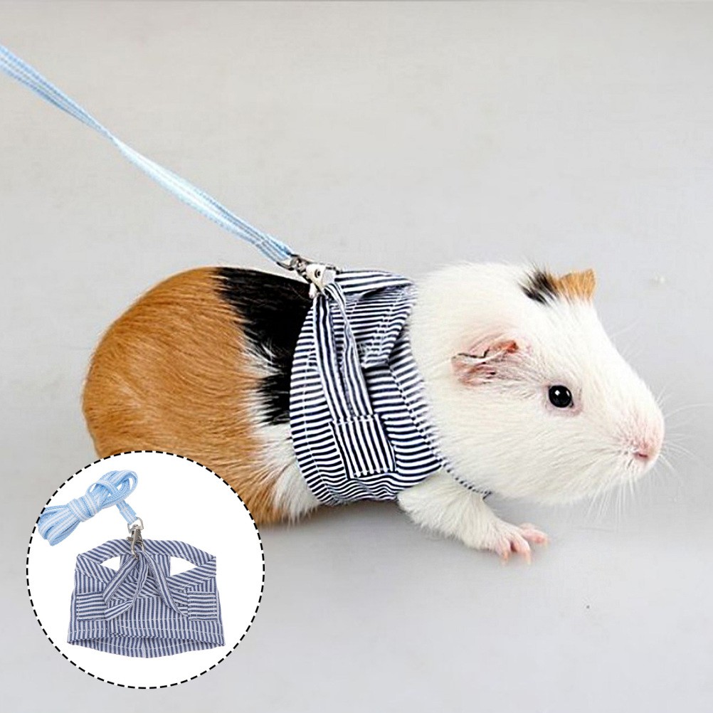 Imbracatura criceto coniglio porcellino d'India accessori piccolo animale domestico e guinzaglio foto 2