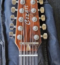 GeetarGizmos Fully Slotted BONE NUT handmade for COZART 12 String Guitars