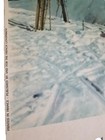 French Travel Poster ORIGINAL Ski France SNCF Railway 1950s Railroad 24"×38"Rare — photo 4