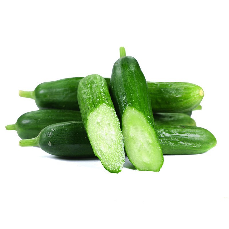 未使用 Magic Cucumbers - Magic Crush Super Max Hybrid Pickling Cucumber | Seeds from Gurney's