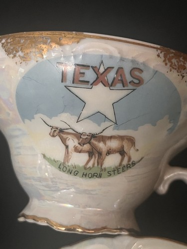 Vintage Texas Collectors Cup & saucer Victoria Ceramics Made in Japan - Picture 2 of 9