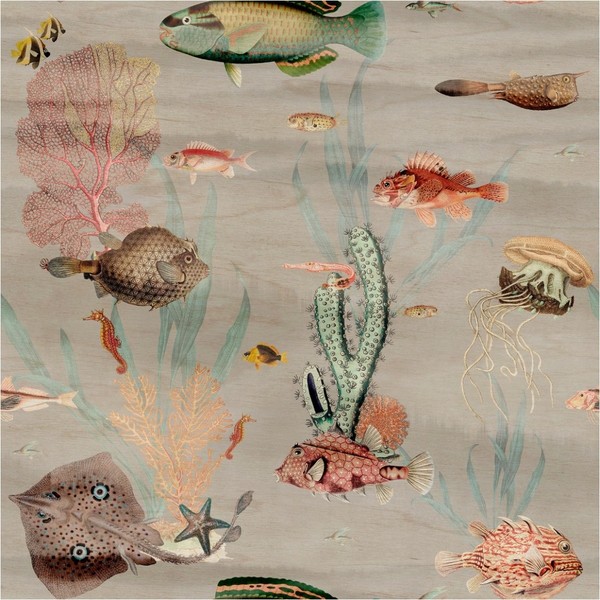 Fototapete Fische Vliestapete Tiertapete Bunt Grau Unterwasserwelt Wohnzimmer-image
