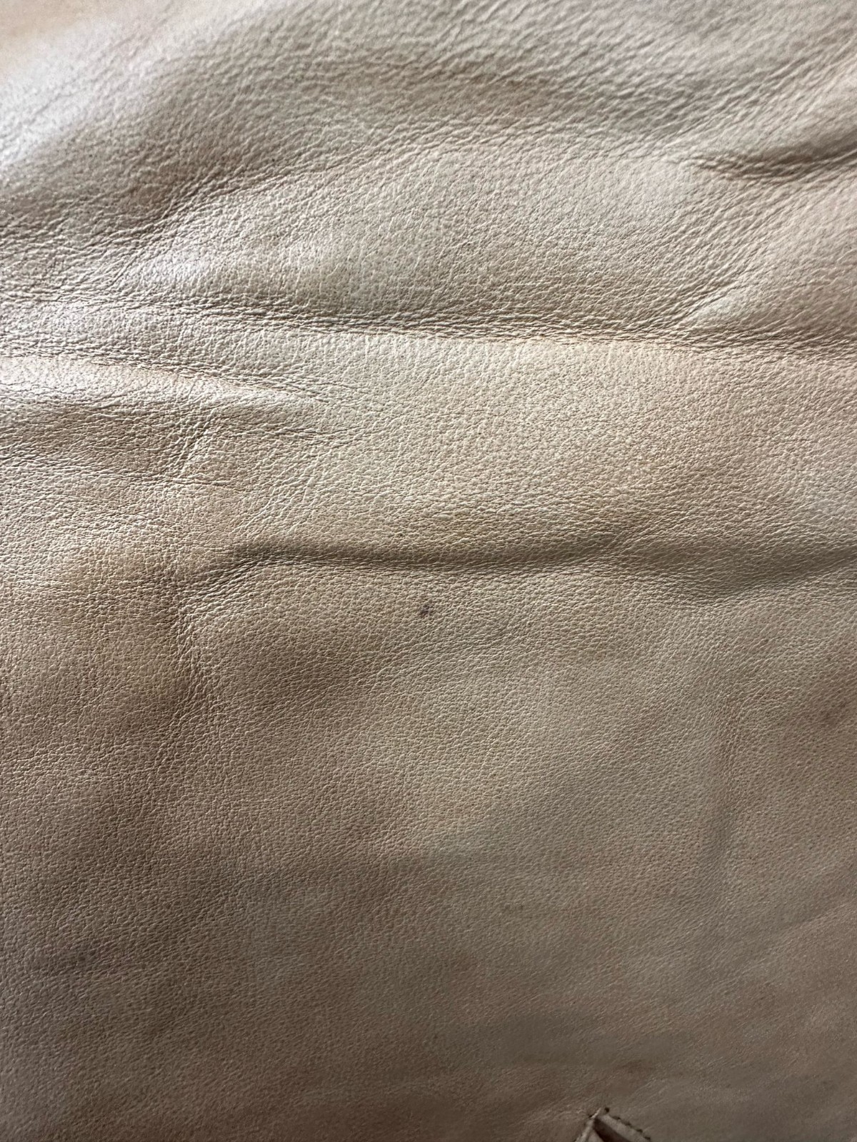 Picture 9 of 10