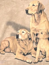 The Mountain Men's T-shirt Tan Labrador Retriever Dog Leather Tag 2XL #1633 NWOT