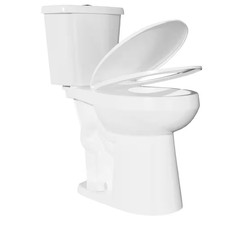 19 In.Tall 2-Piece Toilet 1.1/1.6 GPF Dual Flush round Toilet in White Map Flush