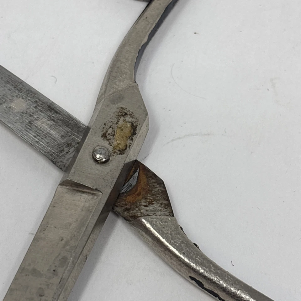 Case XX 8" Straight Scissors - Image 4 of 4