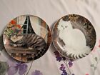 Feline Fantasies 2 Beautiful Cat Plates