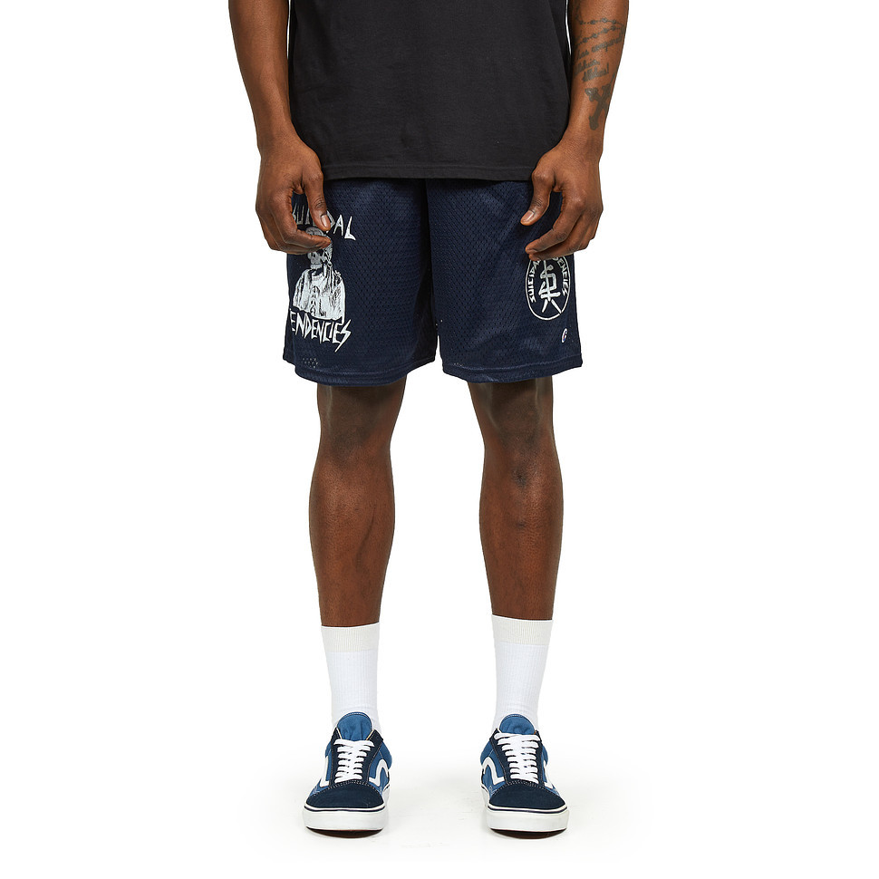 ★ Phyps Department★ Neko Baseball Uniform Mesh Short Slee Western Wildcats Retro Mesh Shorts – MLW Wiffle Ball