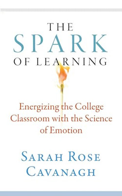 The Spark of Learning: Energizing the College Classroom - Paperback NEW Cavanagh