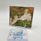 Sega Dreamcast De la Jet Set Radio DC Game Soft Rare Used Japan