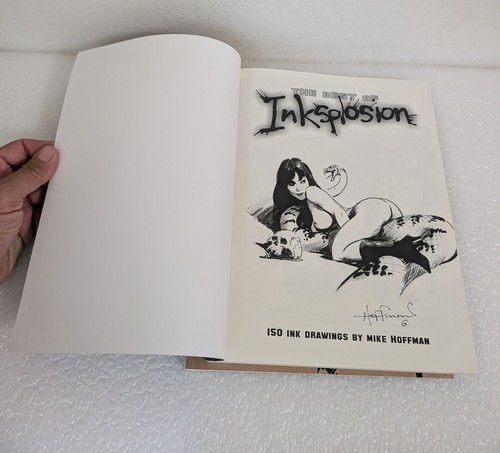 2 Tintenplosion Bücher Mike Hoffman Kunst Meisterwerke - Bild 7 von 11