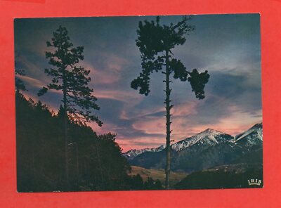 Frankreich - Der Wald Zwischen Mont Louis Und Font Romeu (K1144)