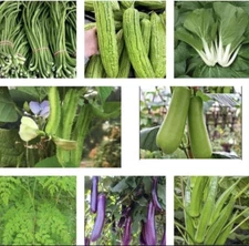 Set of 25 Variety Asian Vegetable Seeds. Pls.Check Description For Complete List