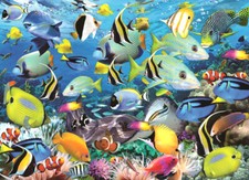 Puzzle Die Farben des Ozeans, 1000 Teile, Fische, Unterwasser, Eurographics