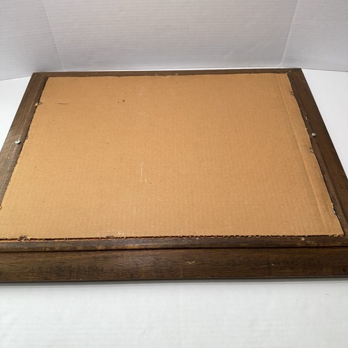 Vintage 1970's Large Wild Turkey 101 Proof 8 Years Bourbon Whiskey Bar Mirror - Picture 14 of 16