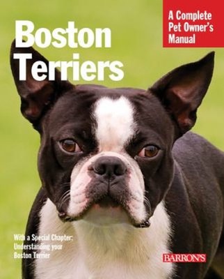 Boston Terriers Paperback Susan Bulanda