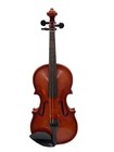 Other BRANDS Violin 501 Shimro BRW Used