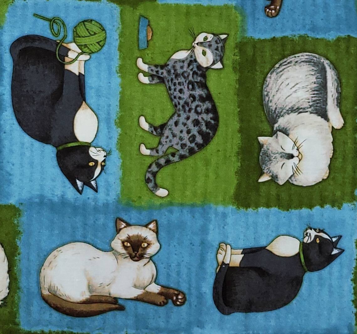 Picture 4 of 21