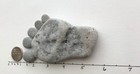 Bild 9 von 12