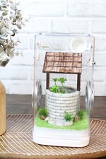Jumping Spider Enclosure, Insect Terrarium, Bug Enclosure, Spider Cage, Jumping