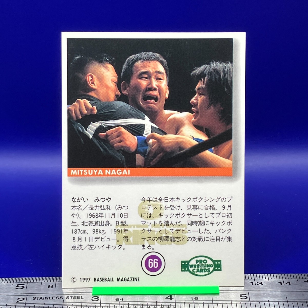 ECWプロレスカード ピットブルズ BBM Mitsuya Nagai BBM Pro Wrestling