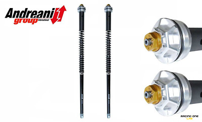 HYDRAULIC FORK CARTRIDGE ANDREANI MISANO EVO FOR BUELL XB12 S 04 - 09